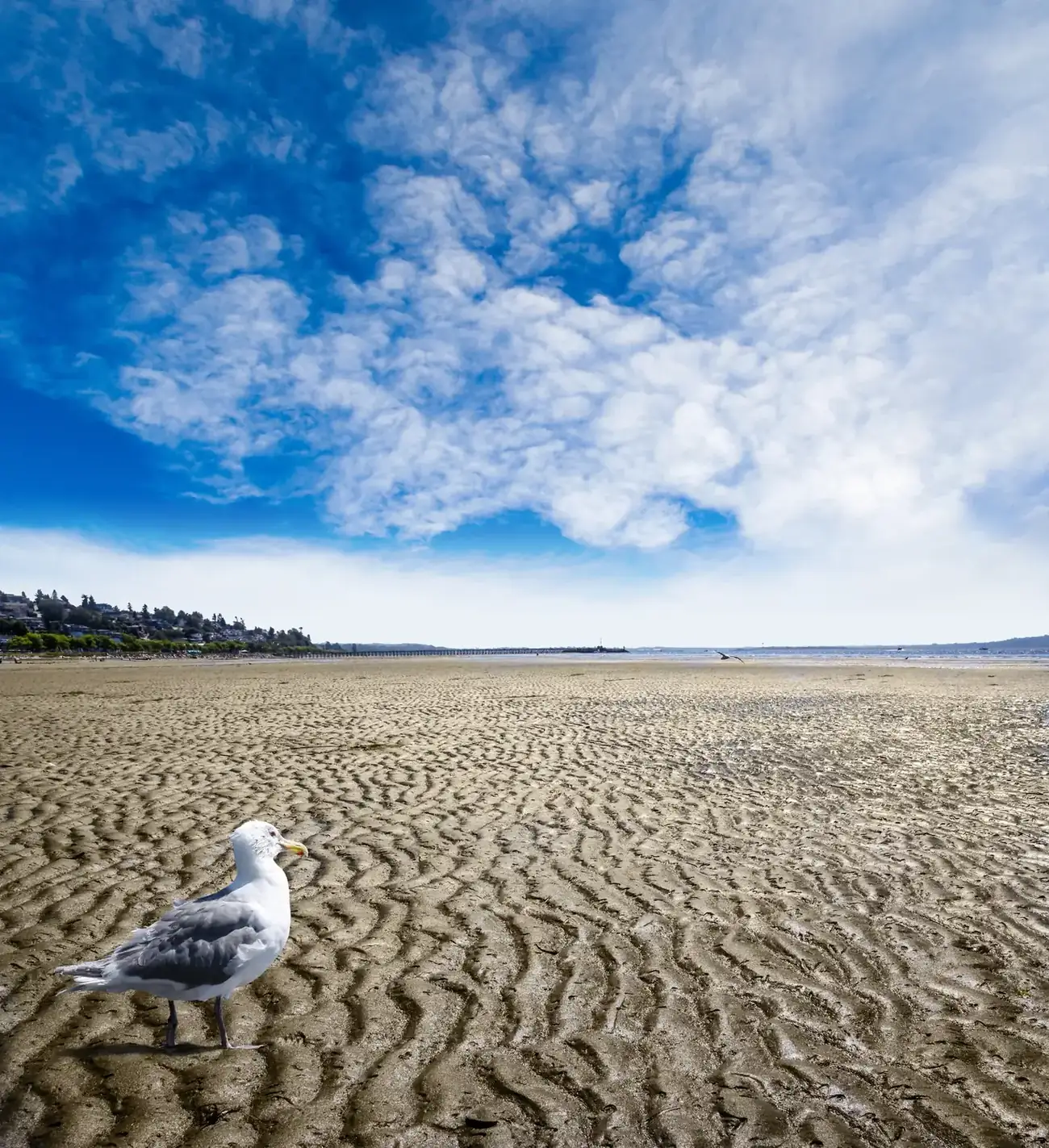 White Rock